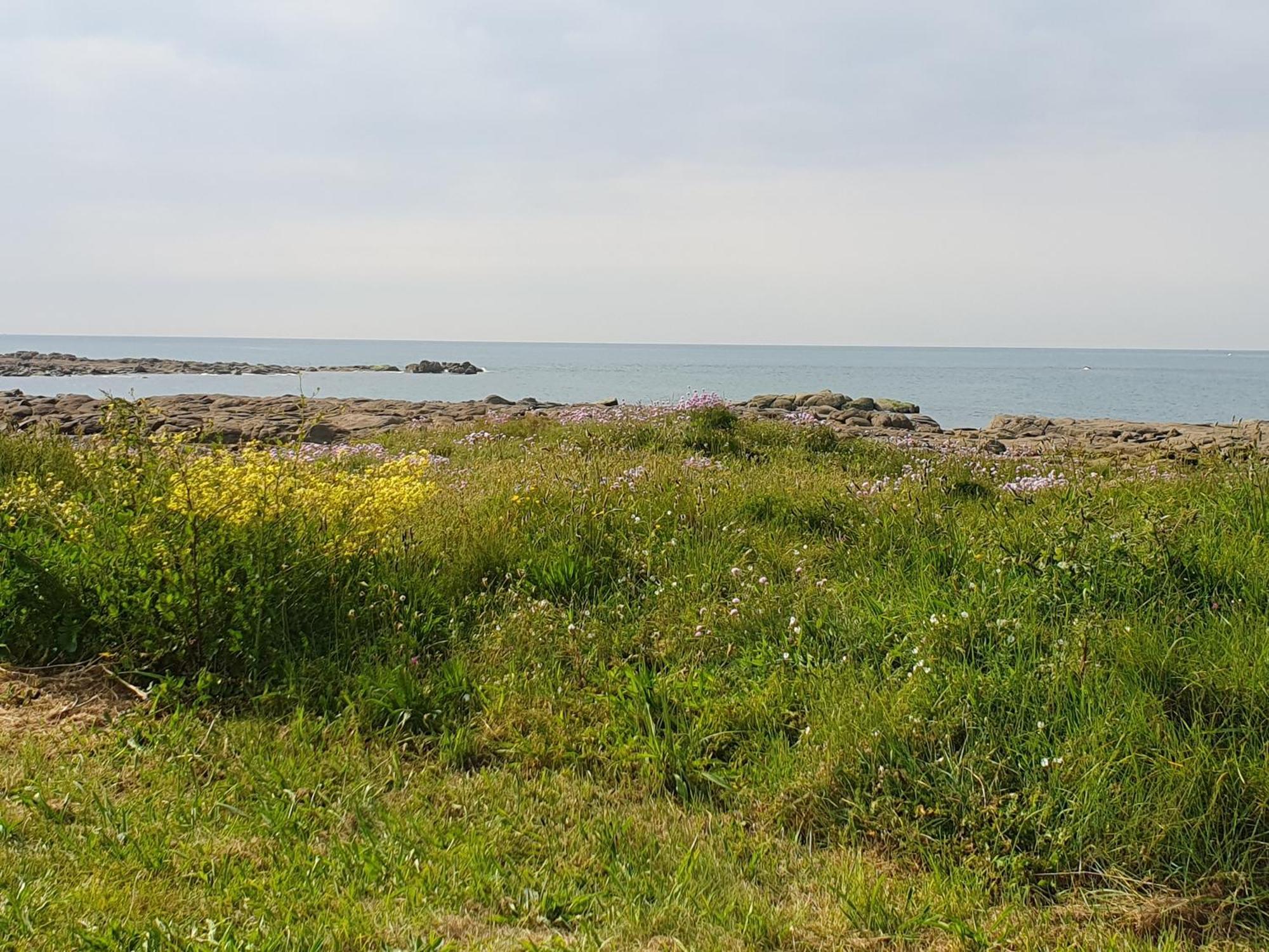 Le Relais Du Phare Hotel Gatteville-le-Phare Bagian luar foto